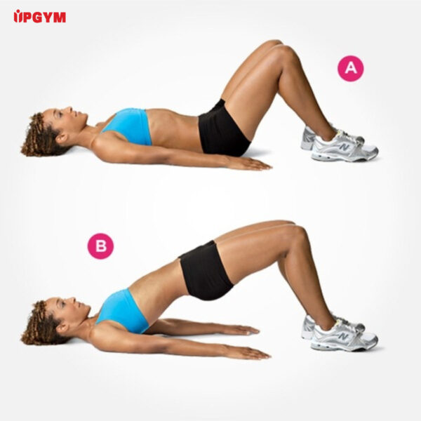 Các Bài Tập Mông Cho Nữ Tại Phòng Gym các bài tập mông cho nữ tại phòng gym