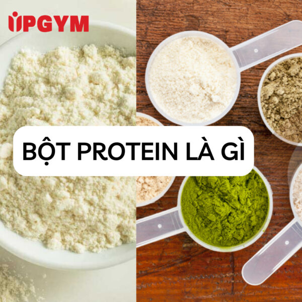 3 Loại Bột Tập Gym Được Gymer Ưa Chuộng Nhiều Nhất Bột Protein là gì