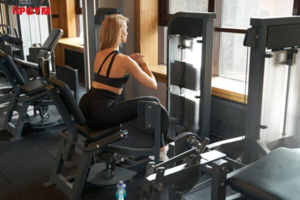 Các Bài Tập Mông Cho Nữ Tại Phòng Gym các bài tập mông cho nữ tại phòng gym