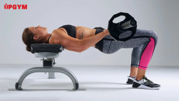 Các Bài Tập Mông Cho Nữ Tại Phòng Gym các bài tập mông cho nữ tại phòng gym