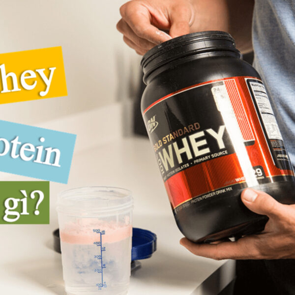 Bột Protein là gì