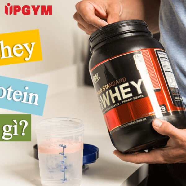 3 Loại Bột Tập Gym Được Gymer Ưa Chuộng Nhiều Nhất Whey Protein và bột Protein có giống nhau không