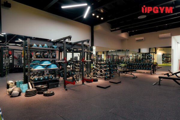 các bài tập ngực tại phòng gym