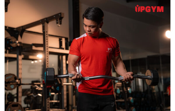 Lịch Tập Gym Cho Nam Tăng Cân Tăng Cơ lịch tập gym cho nam tăng cân