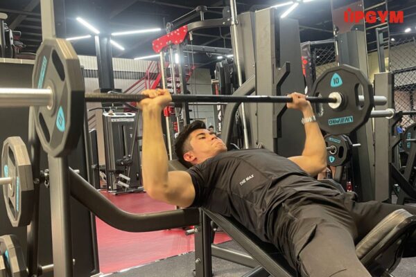 Pump Trong Gym Là Gì? Tìm Hiểu Về Pump Cơ Trong Tập Thể Hình pump trong gym là gì