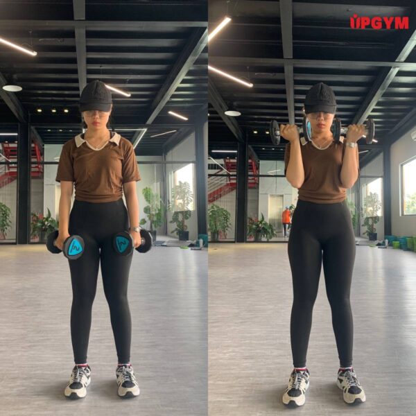 Giáo Án Tập Gym Cho Nữ Giảm Mỡ Cho Người Mới Trong 7 Ngày giáo án tập gym cho nữ