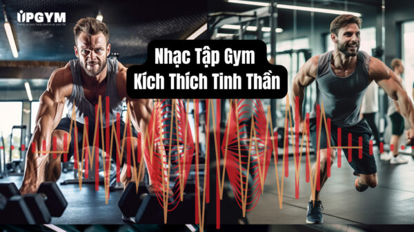 UP GYM - Hệ Thống Lớp Tập Giảm Cân Chuẩn Khoa Học