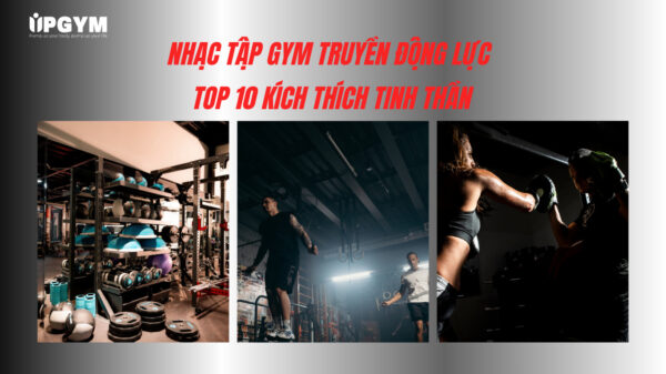 Nhạc Tập Gym Truyền Động Lực: Top Bài Hát Kích Thích Tinh Thần UP GYM - Hệ Thống Lớp Tập Giảm Cân Chuẩn Khoa Học