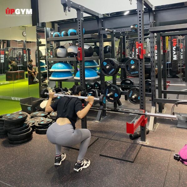 Giáo Án Tập Gym Cho Nữ Giảm Mỡ Cho Người Mới Trong 7 Ngày Bài tập Barbbell Squat
