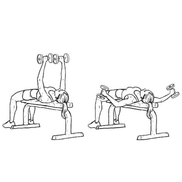 Giáo Án Tập Gym Cho Nữ Giảm Mỡ Cho Người Mới Trong 7 Ngày UP GYM - Hệ Thống Lớp Tập Giảm Cân Chuẩn Khoa Học