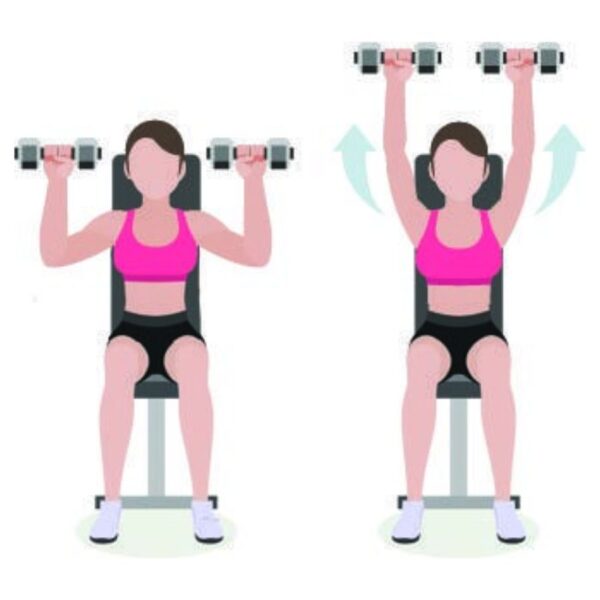 Giáo Án Tập Gym Cho Nữ Giảm Mỡ Cho Người Mới Trong 7 Ngày Bài tập Shoulder Press