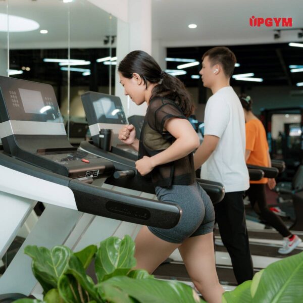 Giáo Án Tập Gym Cho Nữ Giảm Mỡ Cho Người Mới Trong 7 Ngày giáo án tập gym cho nữ