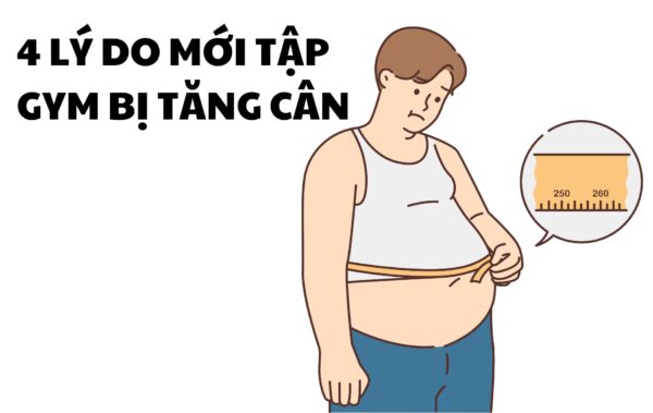 4 Lý Do Mới Tập Gym Bị Tăng Cân Và Cách Khắc Phục UP GYM - Hệ Thống Lớp Tập Giảm Cân Chuẩn Khoa Học