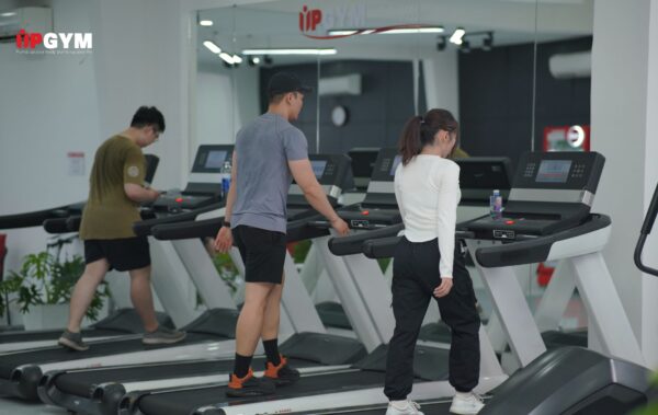 Các Bài Tập Cardio Cho Nam Cực Kì Hiệu Quả các bài tập cardio cho nam