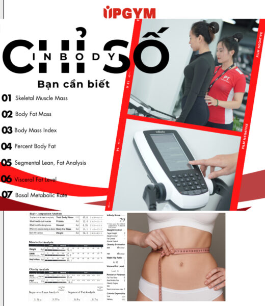 UP GYM - Hệ Thống Lớp Tập Giảm Cân Chuẩn Khoa Học