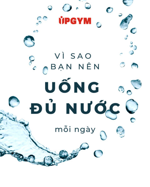 UP GYM - Hệ Thống Lớp Tập Giảm Cân Chuẩn Khoa Học