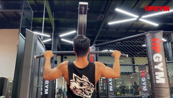 Lat Pulldown Là Gì? Cách Tập Lưng Phát Triển Cơ Xô pulldown là gì