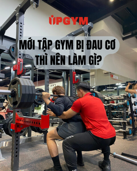 UP GYM - Hệ Thống Lớp Tập Giảm Cân Chuẩn Khoa Học