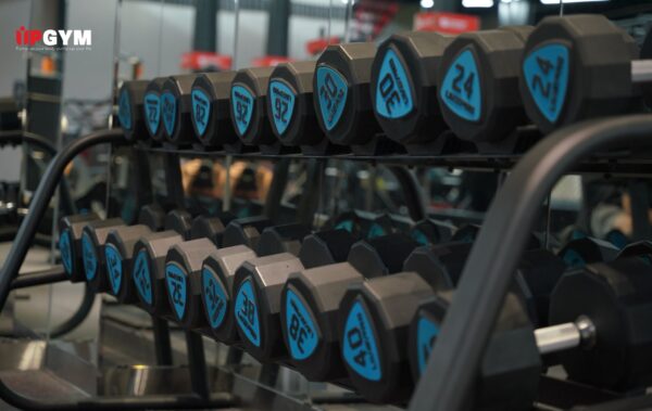 tập gym bao nhiêu tiền một ngày