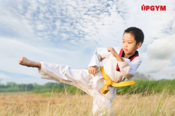 Tập Võ Có Tăng Chiều Cao Ở Trẻ Em Không Các bậc làm cho mẹ có thể cân nhắc khi con mình có độ tuổi từ 6 tuổi trở lên thì có thể cho bé bắt đầu tập võ