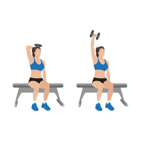 5 Bài Tập Tay Sau Với Tạ Đơn Cho Nữ? Vì Sao Phải Tập Tay Sau? UP GYM - Hệ Thống Lớp Tập Giảm Cân Chuẩn Khoa Học