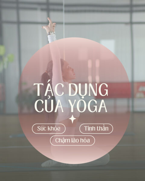 UP GYM - Hệ Thống Lớp Tập Giảm Cân Chuẩn Khoa Học