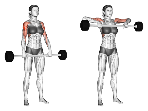 5 Bài Tập Tay Sau Với Tạ Đơn Cho Nữ? Vì Sao Phải Tập Tay Sau? UP GYM - Hệ Thống Lớp Tập Giảm Cân Chuẩn Khoa Học