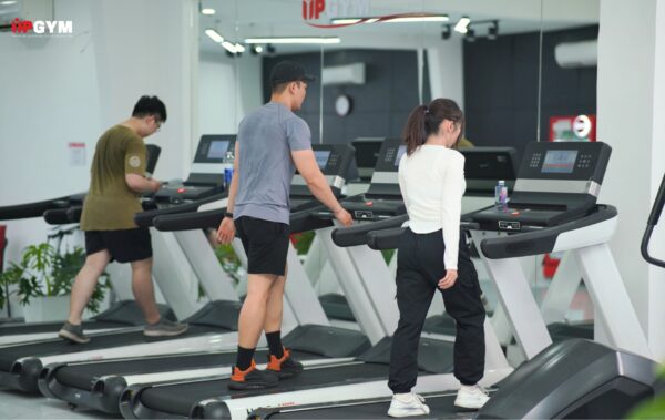 Work Out Là Gì Trong Gym? Tầm Quan Trọng Trong Tập Thể Hình work out là gì?