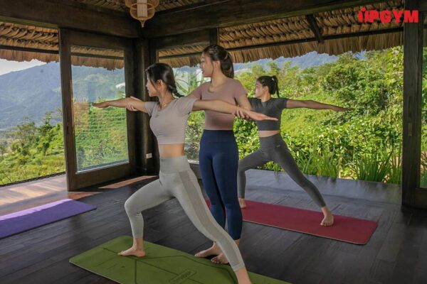 4 Bài Tập Yoga Giảm Mỡ Bụng Trong 30 Phút Mỗi Ngày UP GYM - Hệ Thống Lớp Tập Giảm Cân Chuẩn Khoa Học