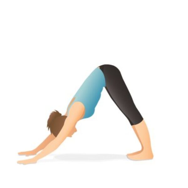 UP GYM - Hệ Thống Lớp Tập Giảm Cân Chuẩn Khoa Học