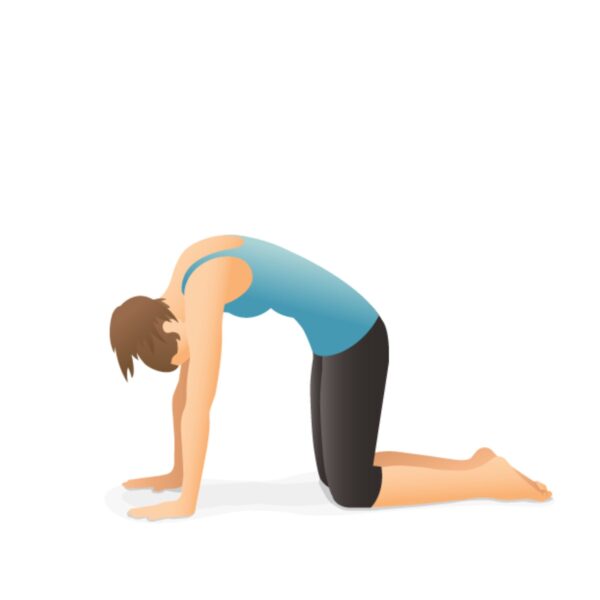 UP GYM - Hệ Thống Lớp Tập Giảm Cân Chuẩn Khoa Học