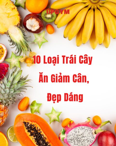 UP GYM - Hệ Thống Lớp Tập Giảm Cân Chuẩn Khoa Học