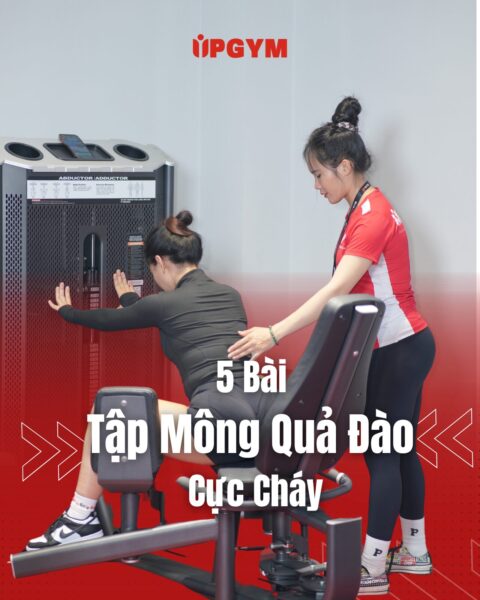 UP GYM - Hệ Thống Lớp Tập Giảm Cân Chuẩn Khoa Học
