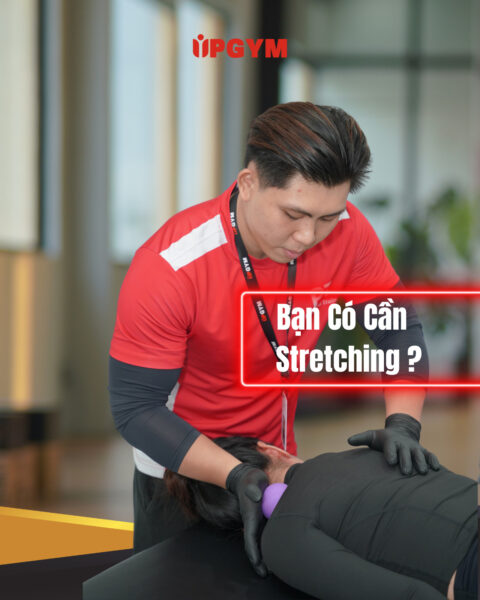 UP GYM - Hệ Thống Lớp Tập Giảm Cân Chuẩn Khoa Học