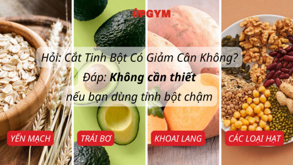 3 Sự Thật Về Cắt Tinh Bột Có Giảm Cân Không Những loại tinh bột phức có trong gạo lứt, yến mạch, khoai lang, bơ, các loại hạt,...