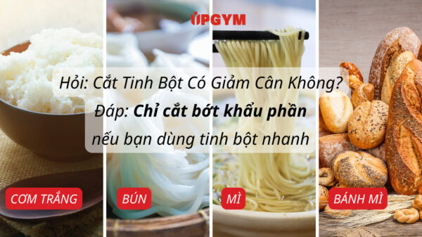3 Sự Thật Về Cắt Tinh Bột Có Giảm Cân Không Những loại tinh bột đơn có trong cơm trắng, mì, bún phở,... giúp cơ thể nhanh no nhưng cung rất nhanh đói