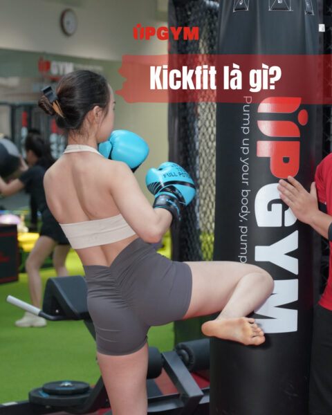 UP GYM - Hệ Thống Lớp Tập Giảm Cân Chuẩn Khoa Học