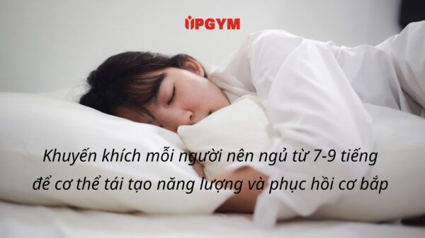 Cách siết cơ giảm mỡ cho gymer UP GYM - Hệ Thống Lớp Tập Giảm Cân Chuẩn Khoa Học