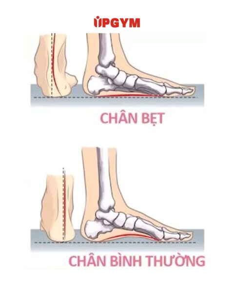UP GYM - Hệ Thống Lớp Tập Giảm Cân Chuẩn Khoa Học