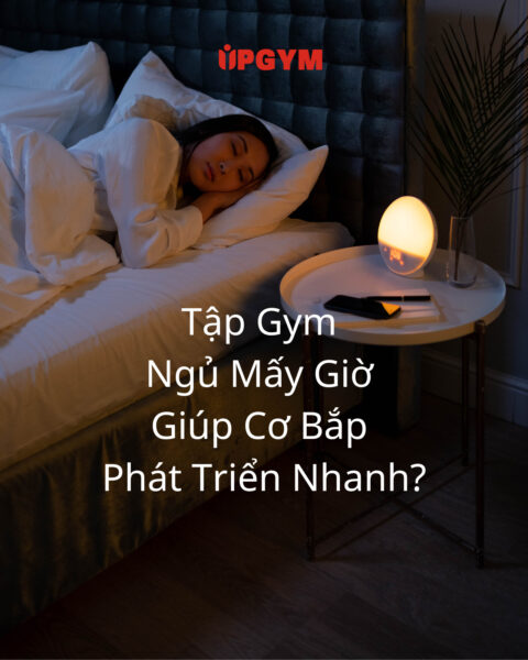 UP GYM - Hệ Thống Lớp Tập Giảm Cân Chuẩn Khoa Học