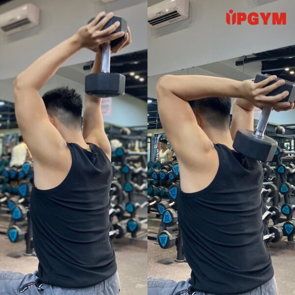 UP GYM - Hệ Thống Lớp Tập Giảm Cân Chuẩn Khoa Học