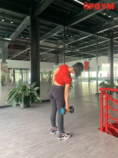 5 Bài Tập Eo Thon Dành Cho Nữ Hiệu Quả UP GYM - Hệ Thống Lớp Tập Giảm Cân Chuẩn Khoa Học