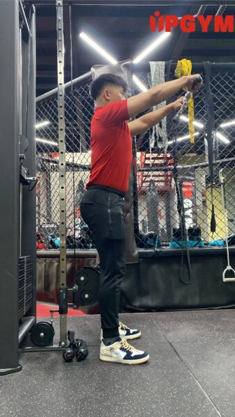 Những Bài Tập Cơ Tay Hiệu Quả cho Nam UP GYM - Hệ Thống Lớp Tập Giảm Cân Chuẩn Khoa Học