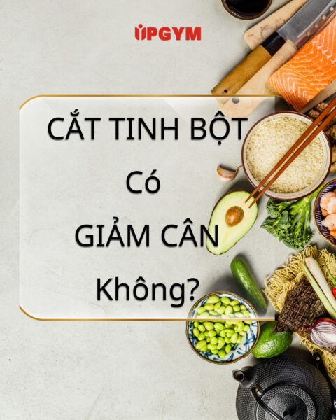 UP GYM - Hệ Thống Lớp Tập Giảm Cân Chuẩn Khoa Học