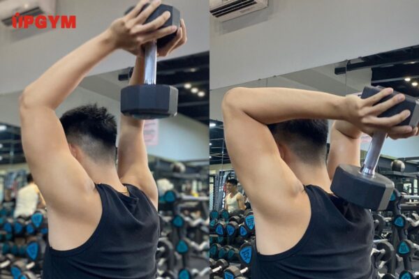 Cách Tập Cơ Bắp Tay Tại Nhà Đơn Giản cách tập cơ bắp tay tại nhà