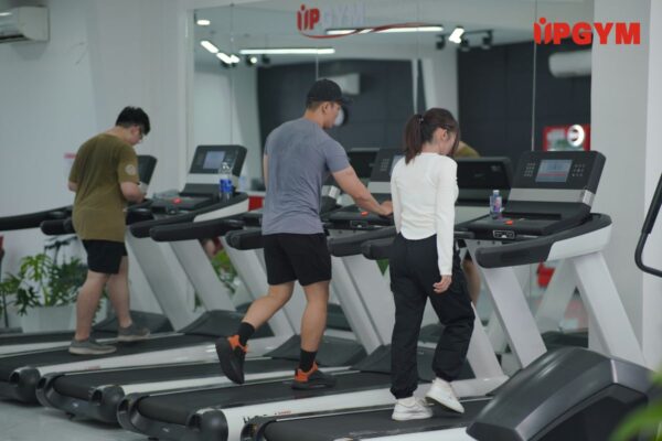 Các Bài Cardio Giảm Mỡ Hiệu Quả các bài cardio