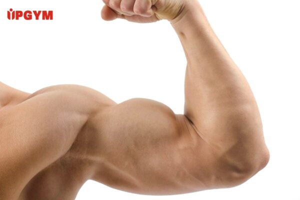 Cách Tập Cơ Bắp Tay Tại Nhà Đơn Giản cách tập cơ bắp tay tại nhà