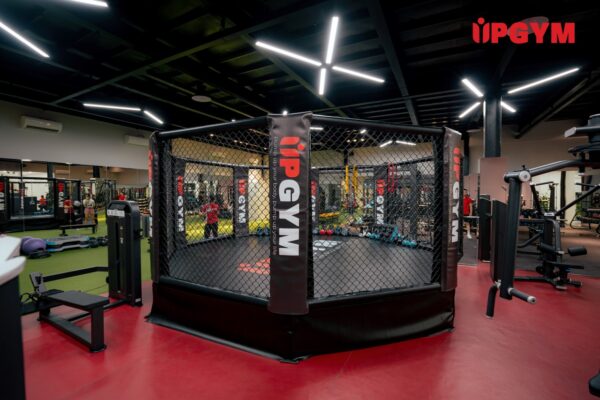 Những Điều Cần Biết Trước Khi Học Boxing
