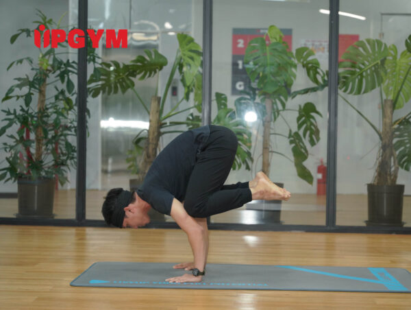 UP GYM - Hệ Thống Lớp Tập Giảm Cân Chuẩn Khoa Học