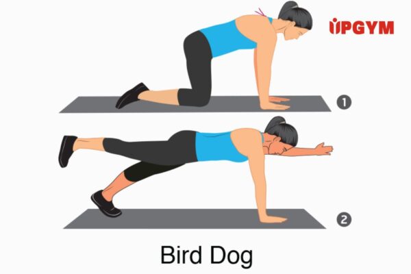 10 cách siết cơ bụng trong yoga giúp bạn có vòng eo thon gọn cách siết cơ bụng trong yoga